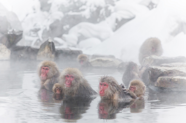 温泉 - Onsen Retina_pixta_19314130_S