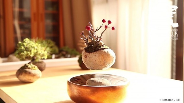 Retina photo 6