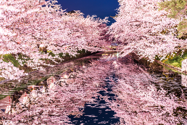 Retina hirosaki
