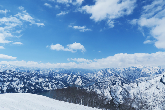 Retina pixta 30311041 s
