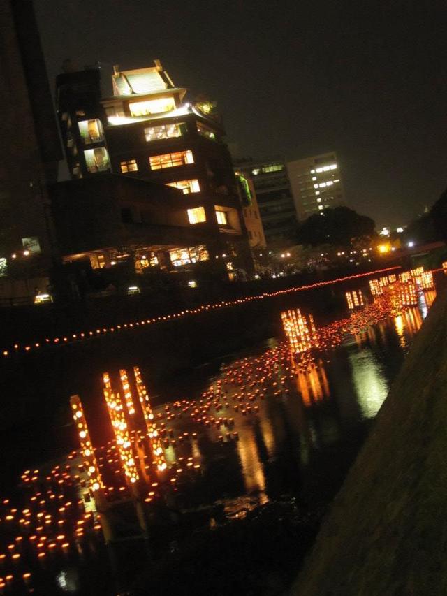 Retina yayoi
